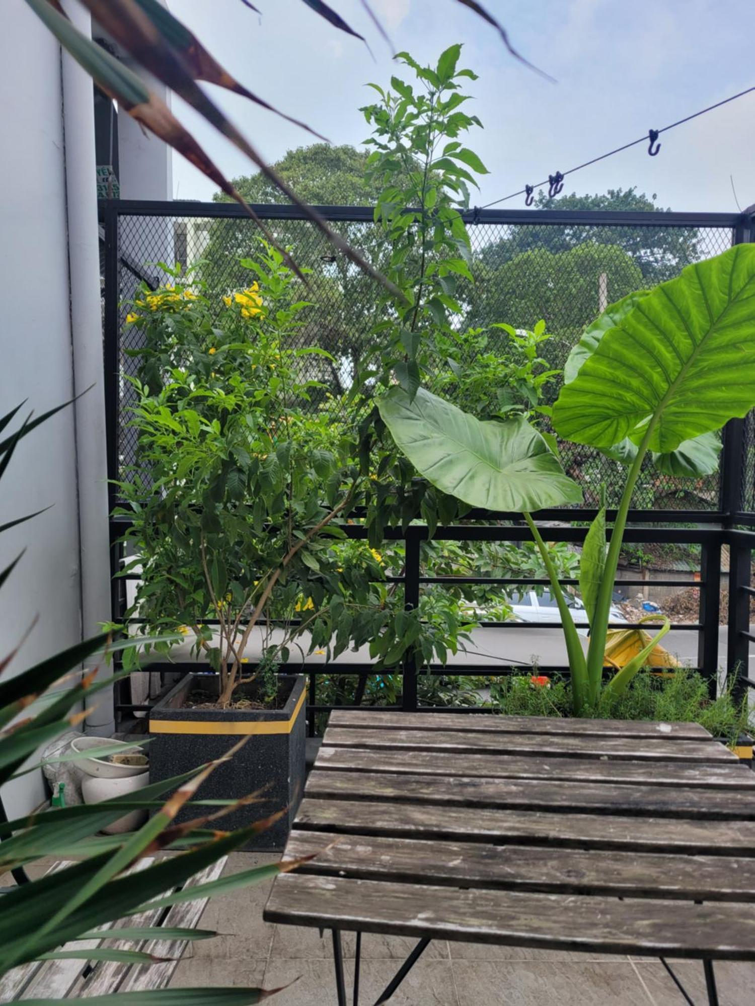 Agk House - Homestay - 406 Xo Viet Nghe Tinh, P25, Binh Thanh, Gan Nga 4 Hang Xanh Thành Pho Ho Chí Minh Esterno foto
